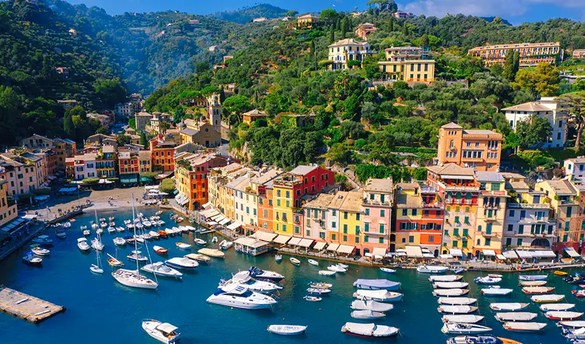 photo of harbor on sunny day with boats